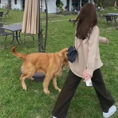 儿童十字军